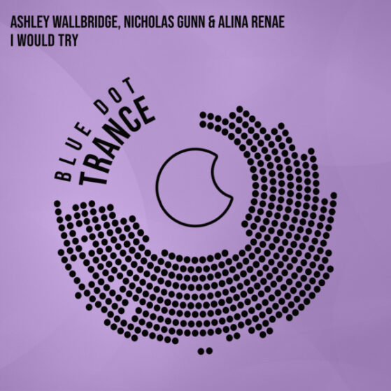 I Would Try Ashley Wallbridge Nicholas Gunn Alina Renae official cover art