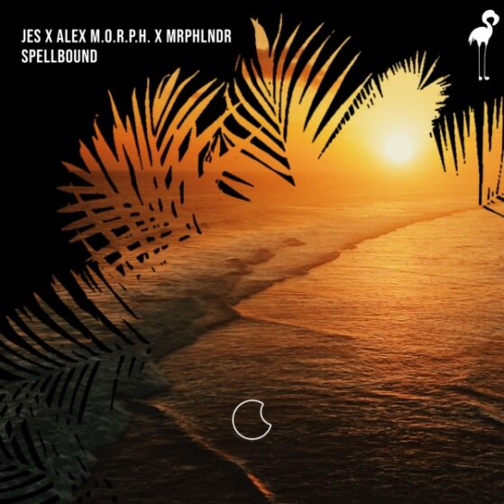 Spellbound cover art – JES, Alex M.O.R.P.H. & MRPHLNDR