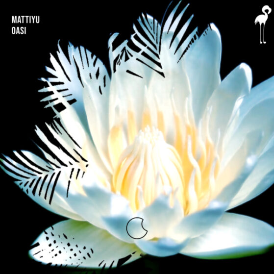 Oasi album cover mattiyu music