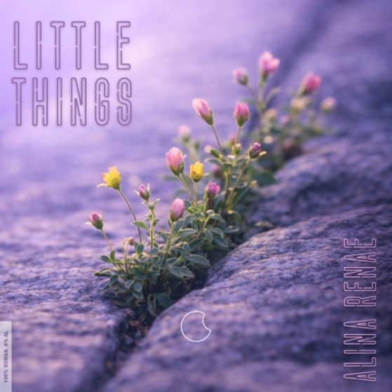 Alina Renae Little Things Cover Art Chill Gratitude