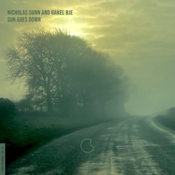 Sun Goes Down Nicholas Gunn Blue Dot Music