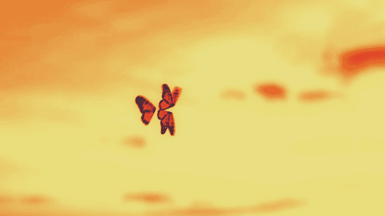 Official video art for Nicholas Gunn Deeper Kind of Love